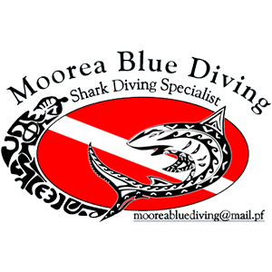 Moorea Blue Diving